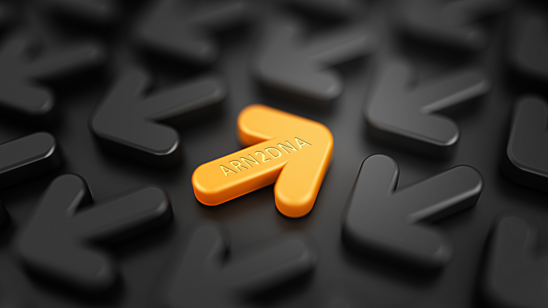 La transcriptase inverse | GENARO